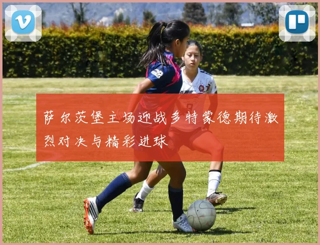 萨尔茨堡主场迎战多特蒙德期待激烈对决与精彩进球