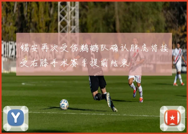 锡安再次受伤鹈鹕队确认胖虎将接受右膝手术赛季提前结束