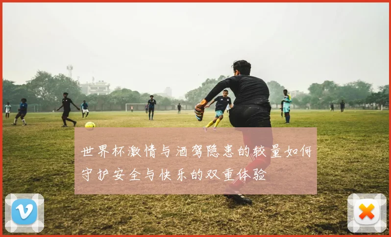 世界杯激情与酒驾隐患的较量如何守护安全与快乐的双重体验