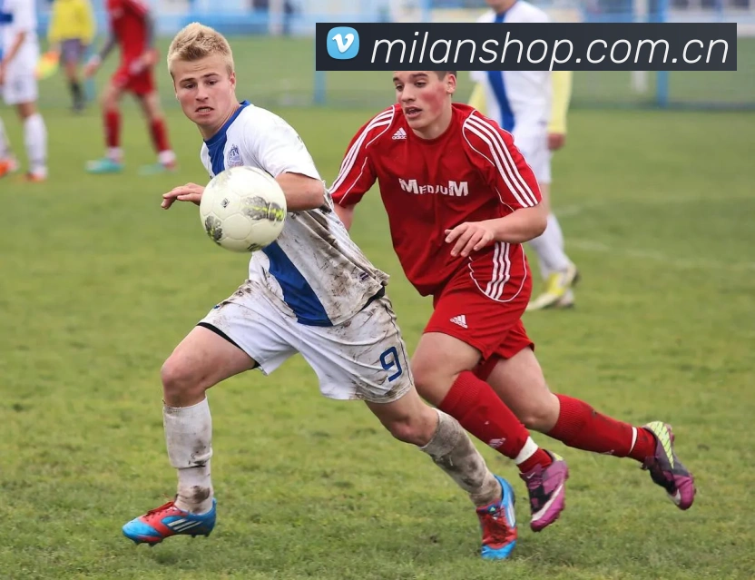 多媒体互动体验